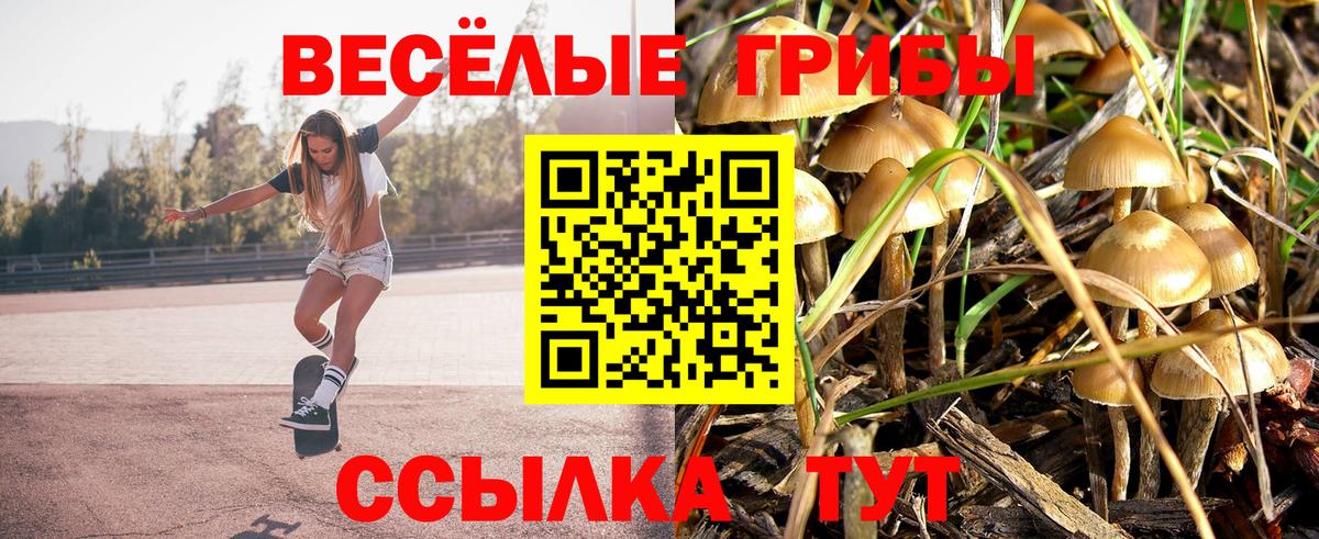 Галлюциногенные грибы мухоморы  Вход с VPN  Балашов 