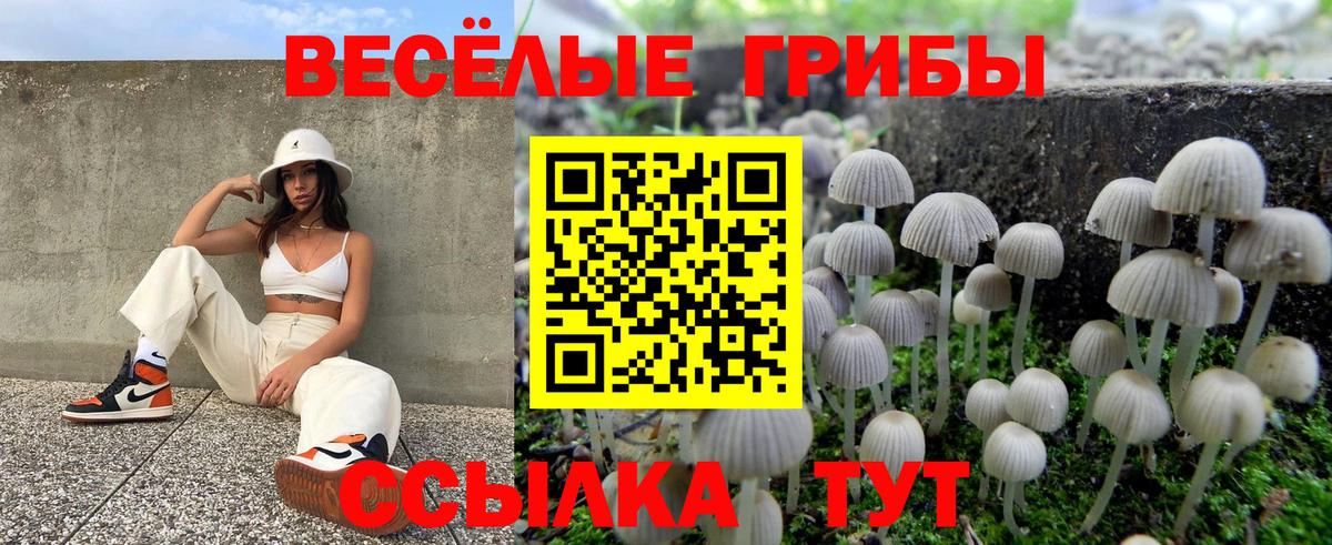 Псилоцибиновые грибы мухоморы Балашов